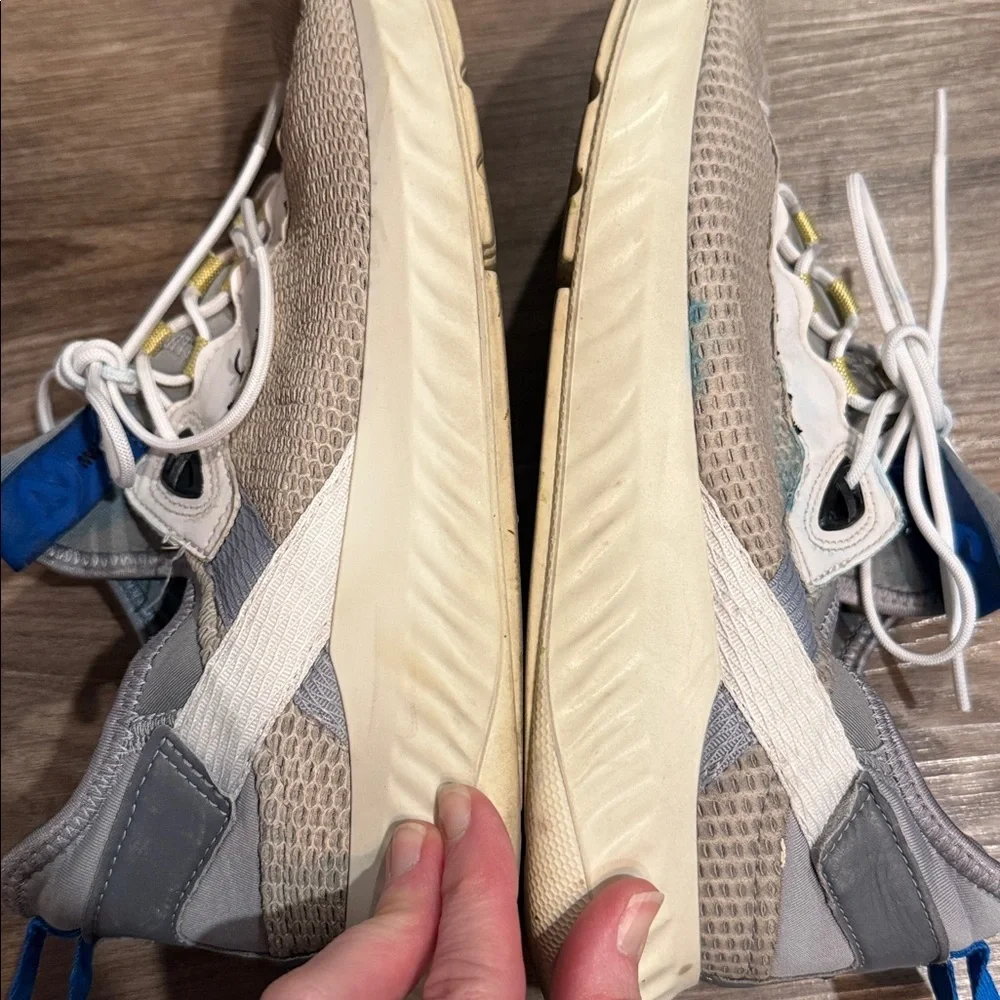 Ecco here pair